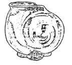 Nautilus Seashell vase