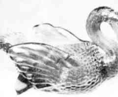 Type III Swan